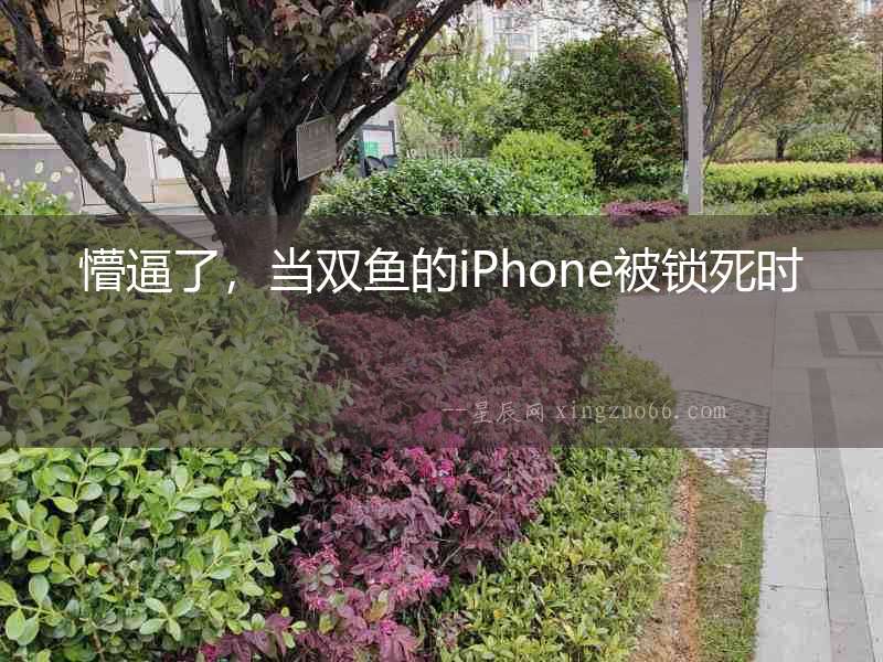 懵逼了，當雙魚的iPhone被鎖死時