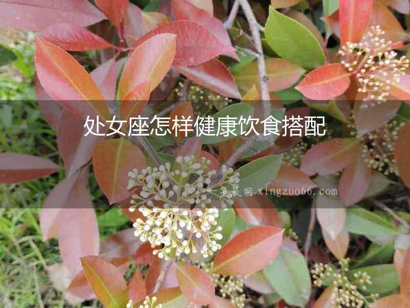 處女座怎樣健康飲食搭配
