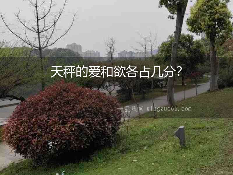 天秤的愛和欲各占幾分？