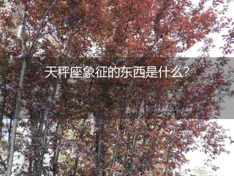 天秤座象征的東西是什么？