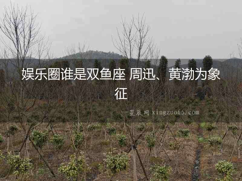 娛樂圈誰是雙魚座 周迅、黃渤為象征