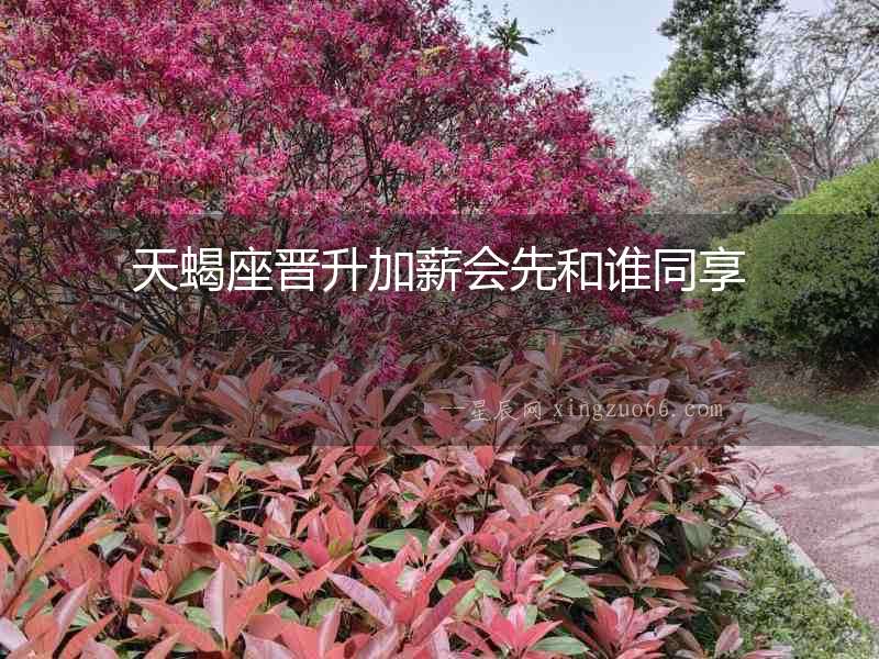 天蝎座晉升加薪會先和誰同享