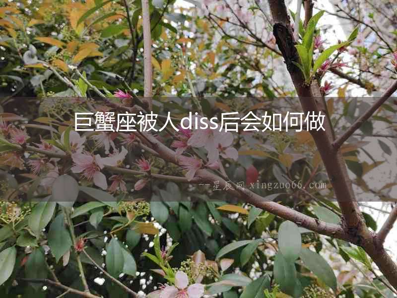 巨蟹座被人diss后會如何做