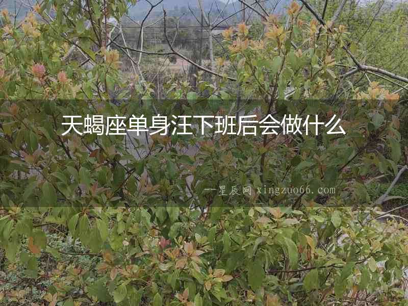 天蝎座單身汪下班后會(huì)做什么