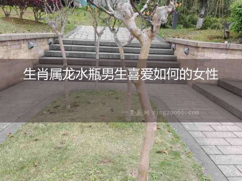 生肖屬龍水瓶男生喜愛如何的女性
