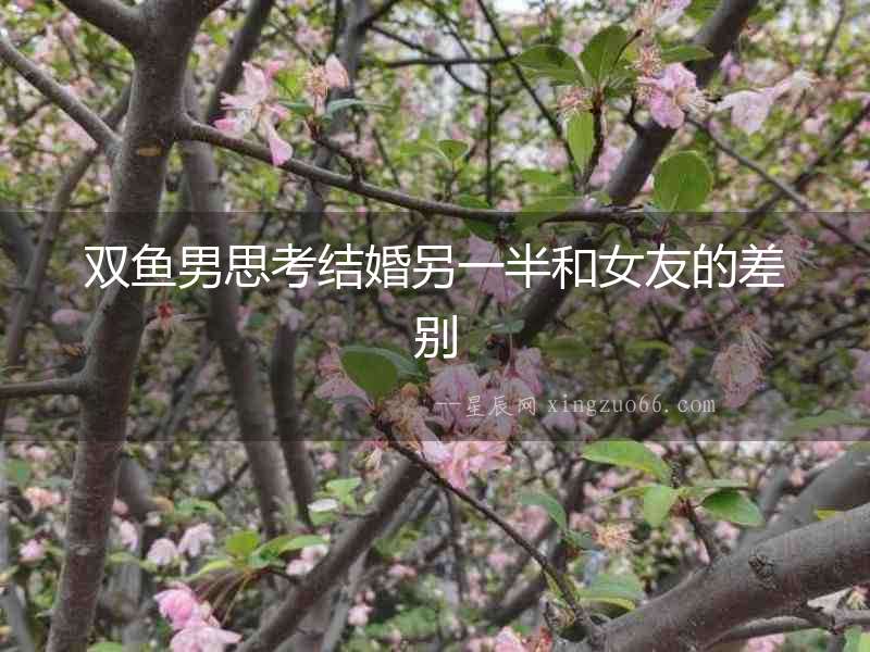 雙魚男思考結婚另一半和女友的差別