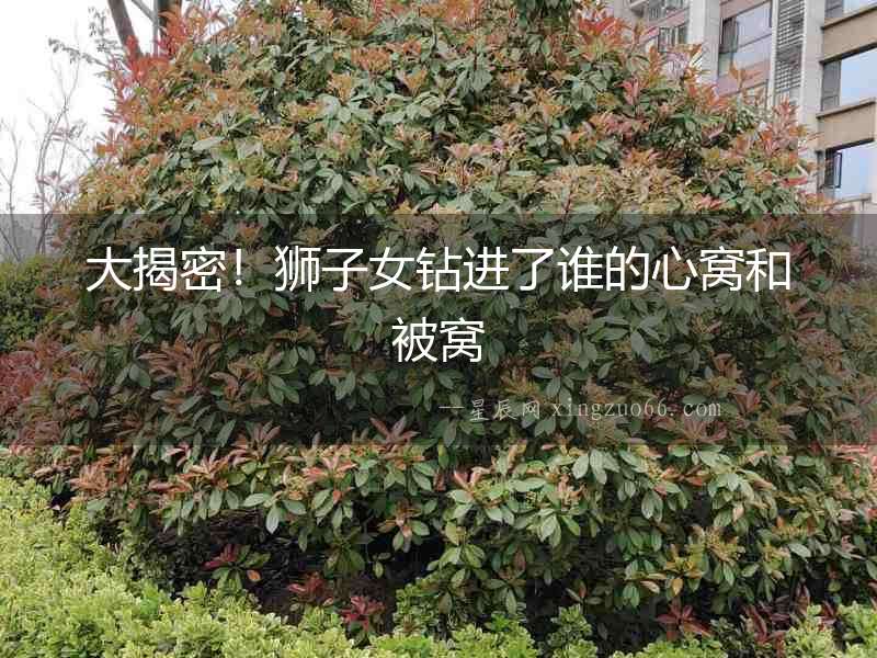 大揭密！獅子女鉆進了誰的心窩和被窩