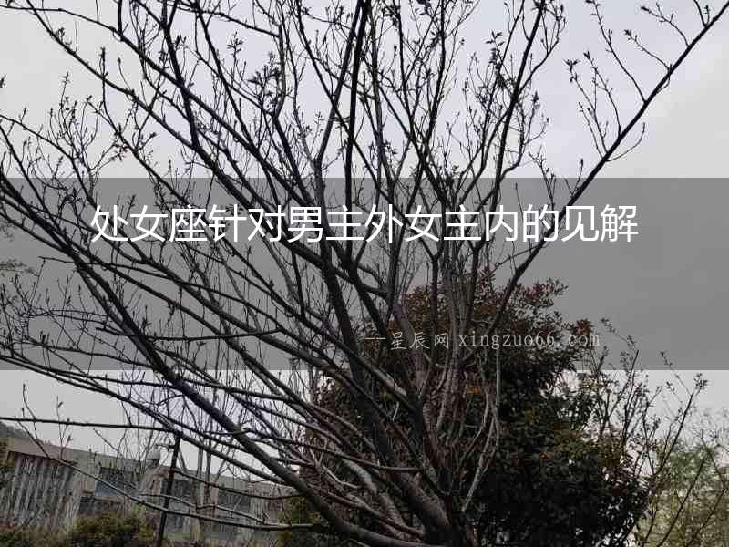 處女座針對男主外女主內(nèi)的見解