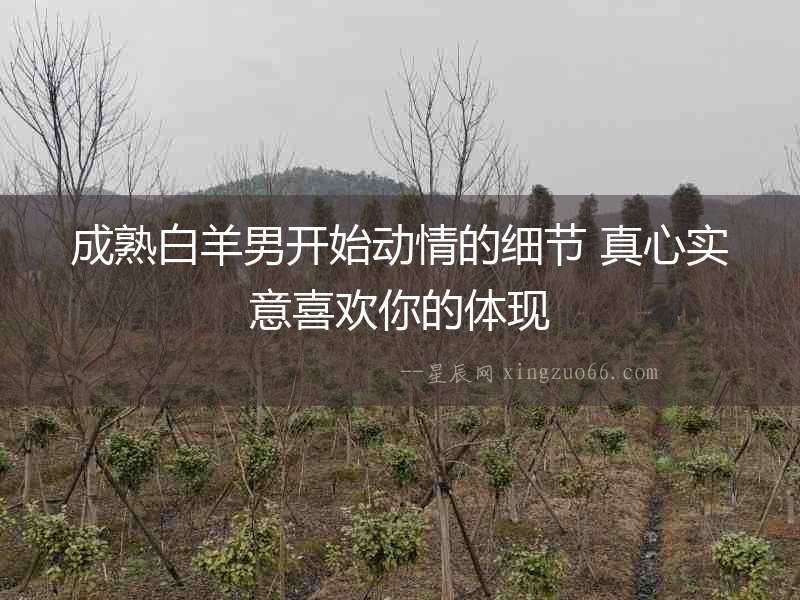 成熟白羊男開始動情的細節 真心實意喜歡你的體現