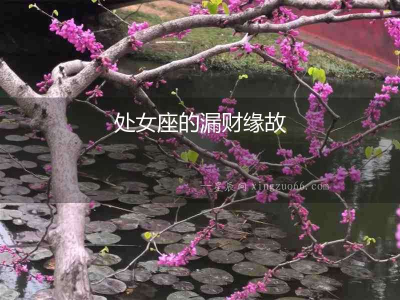 處女座的漏財緣故