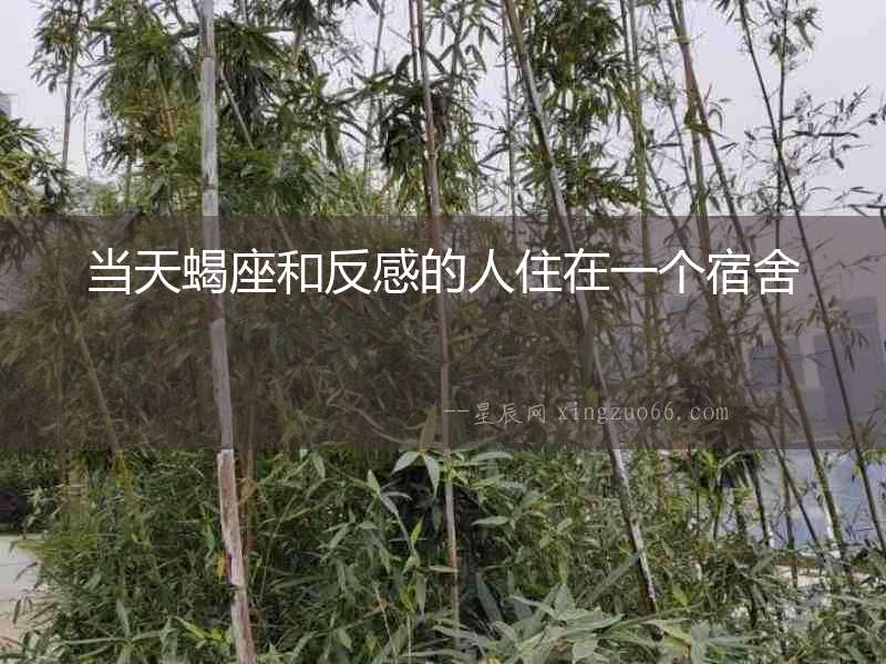 當天蝎座和反感的人住在一個宿舍