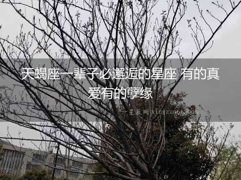 天蝎座一輩子必邂逅的星座 有的真愛有的孽緣