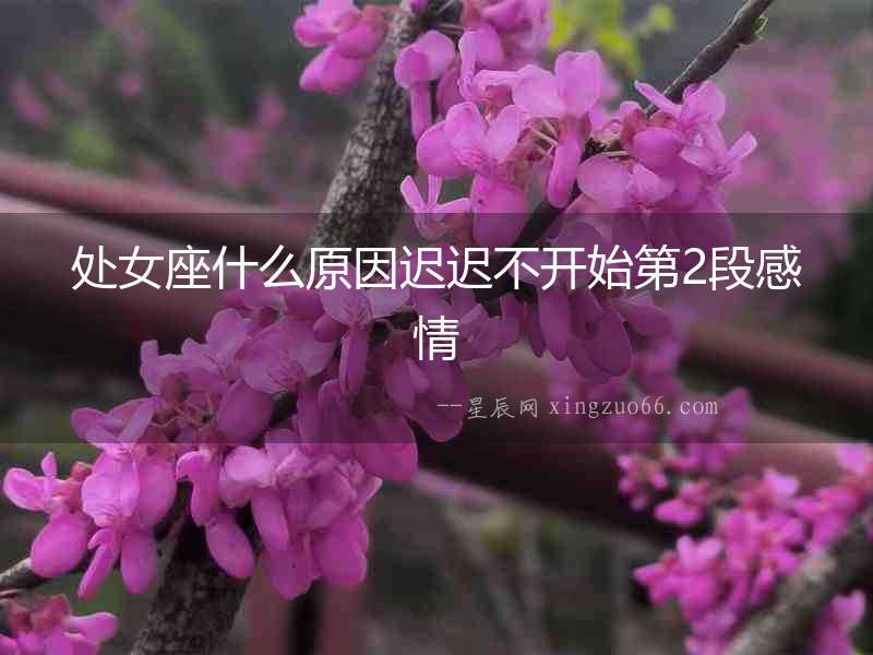 處女座什么原因遲遲不開始第2段感情