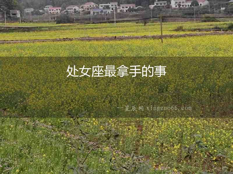 處女座最拿手的事