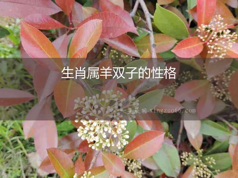 生肖屬羊雙子的性格
