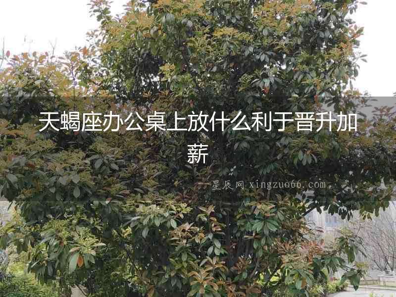 天蝎座辦公桌上放什么利于晉升加薪