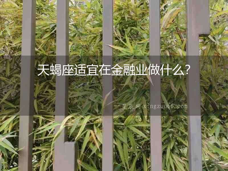 天蝎座適宜在金融業(yè)做什么？