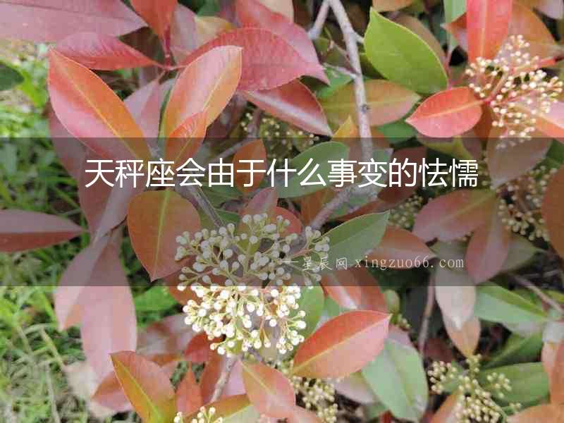 天秤座會由于什么事變的怯懦