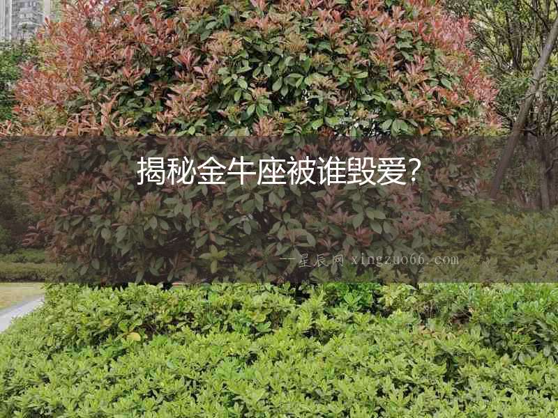 揭秘金牛座被誰毀愛？