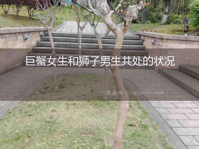 巨蟹女生和獅子男生共處的狀況