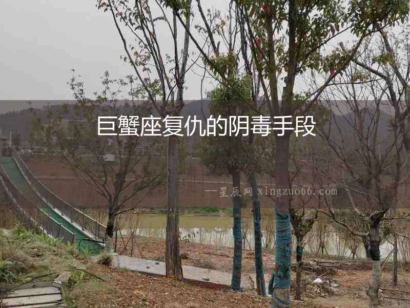 巨蟹座復仇的陰毒手段