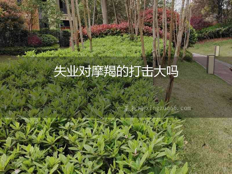 失業對摩羯的打擊大嗎