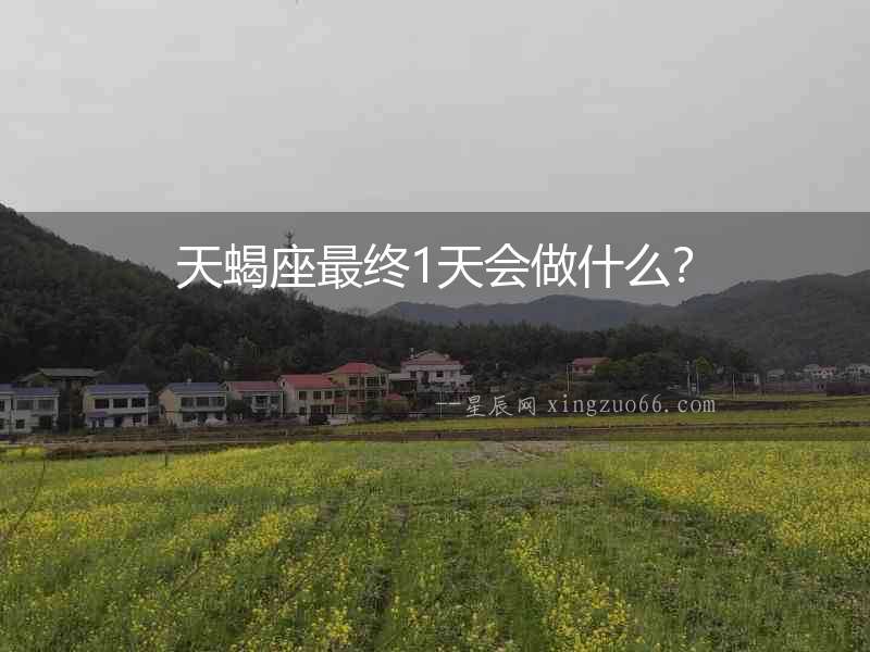 天蝎座最終1天會做什么？
