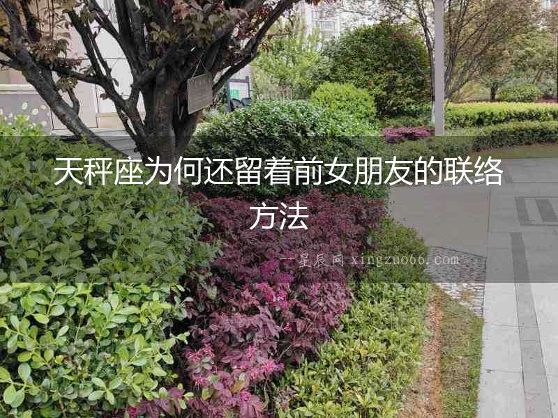 天秤座為何還留著前女朋友的聯絡方法