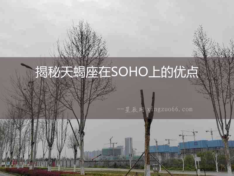 揭秘天蝎座在SOHO上的優點