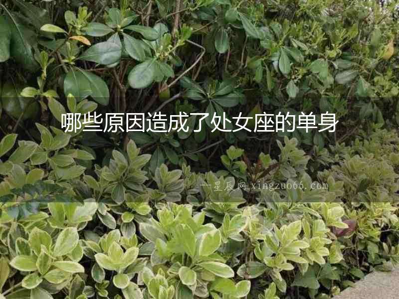 哪些原因造成了處女座的單身