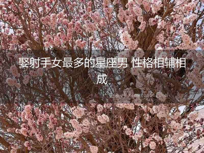 娶射手女最多的星座男 性格相輔相成