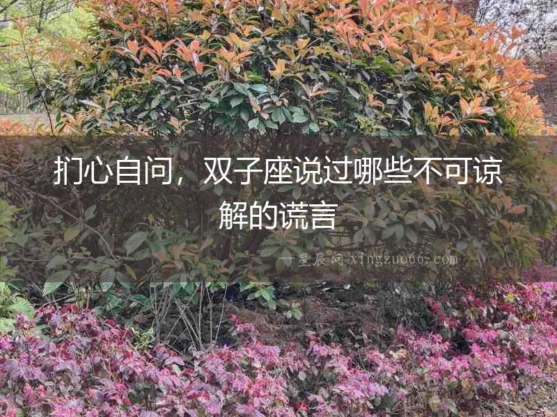 捫心自問，雙子座說過哪些不可諒解的謊言