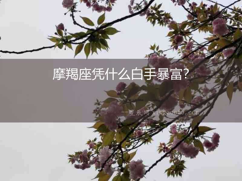 摩羯座憑什么白手暴富？