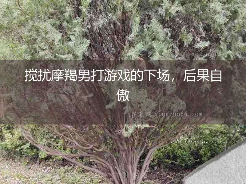 攪擾摩羯男打游戲的下場，后果自傲