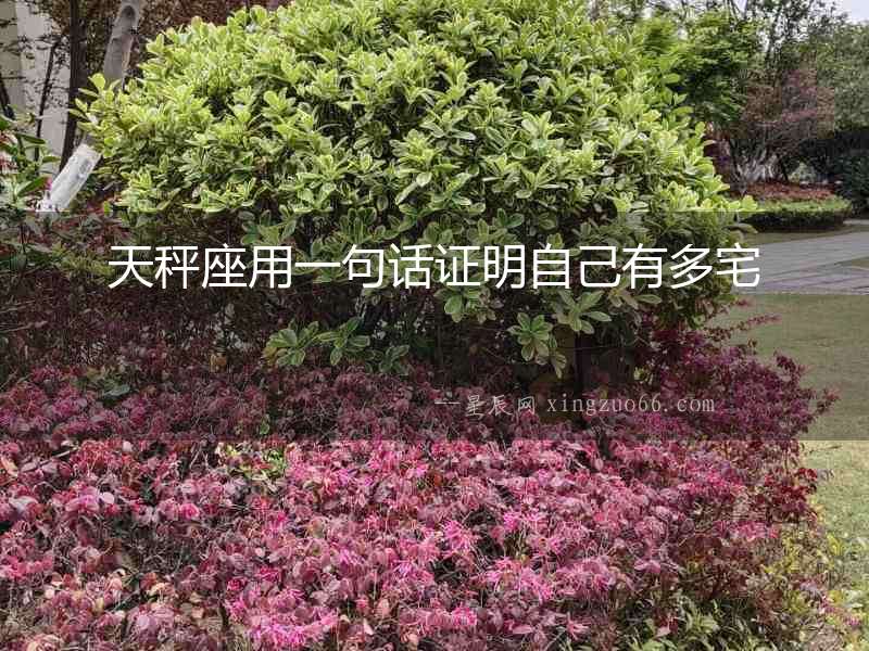 天秤座用一句話證明自己有多宅