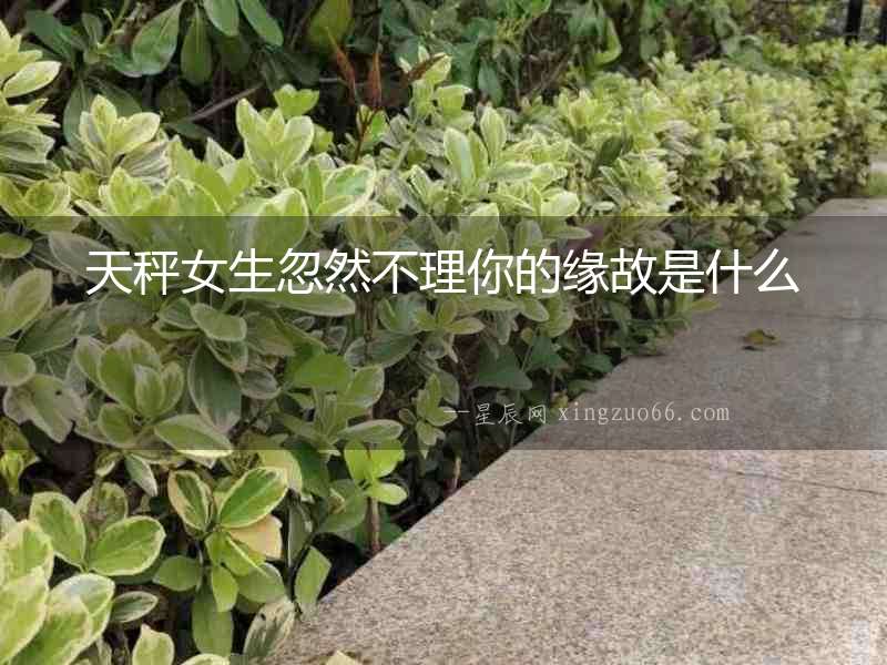 天秤女生忽然不理你的緣故是什么