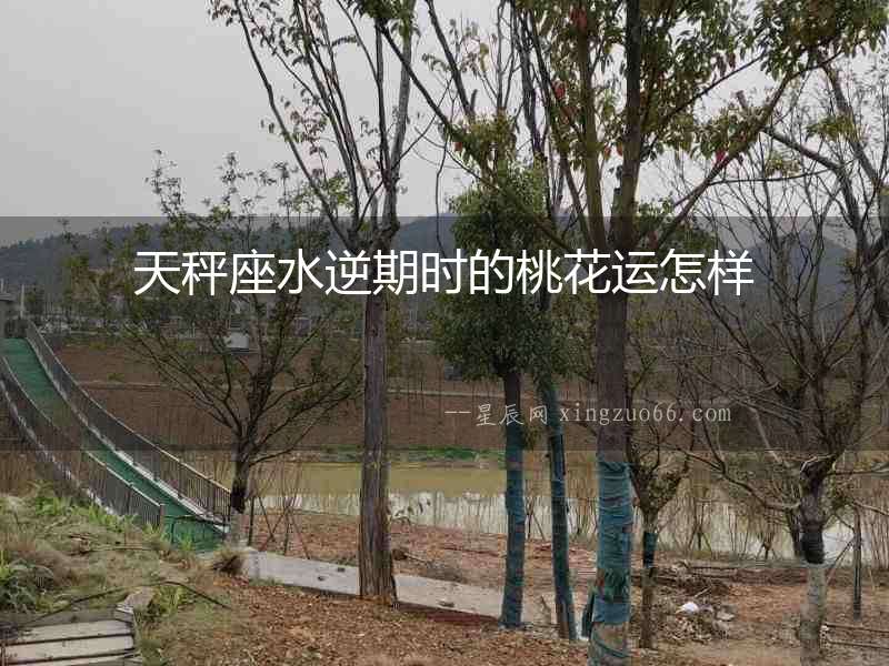 天秤座水逆期時的桃花運怎樣