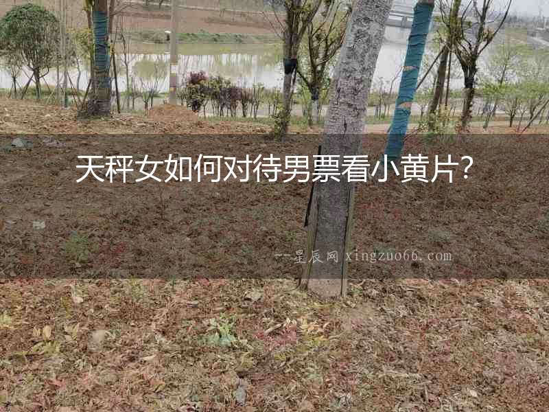 天秤女如何對待男票看小黃片？