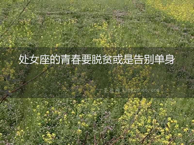 處女座的青春要脫貧或是告別單身