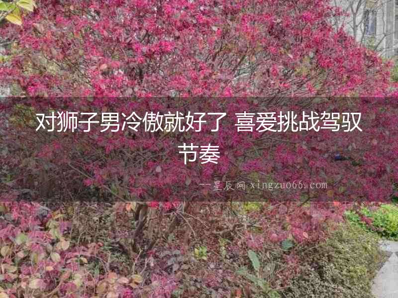 對獅子男冷傲就好了 喜愛挑戰(zhàn)駕馭節(jié)奏