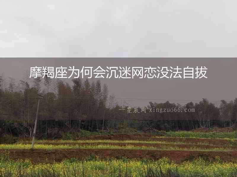 摩羯座為何會沉迷網(wǎng)戀沒法自拔