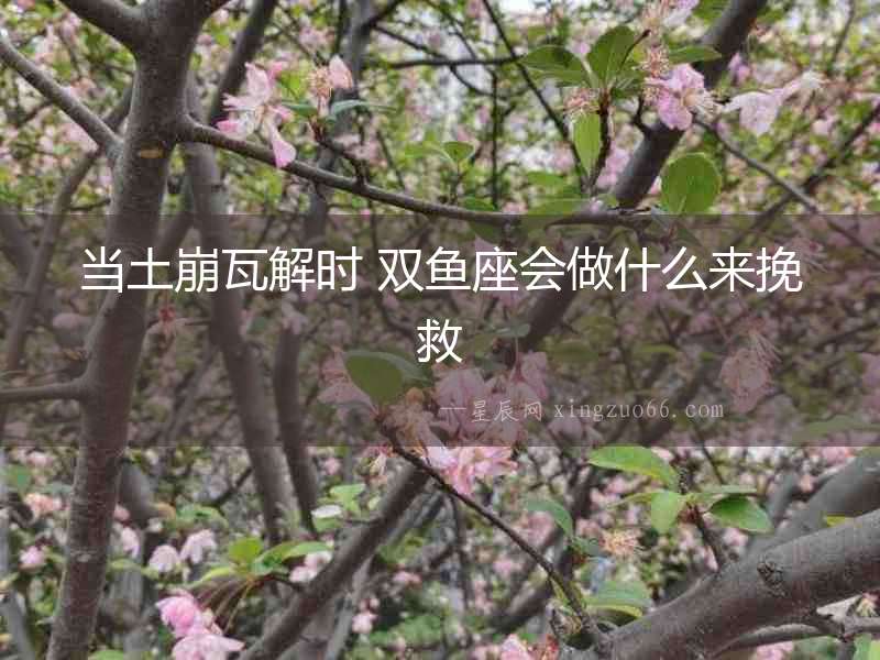 當土崩瓦解時 雙魚座會做什么來挽救