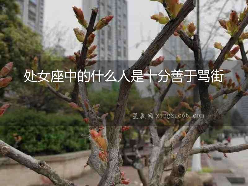 處女座中的什么人是十分善于罵街