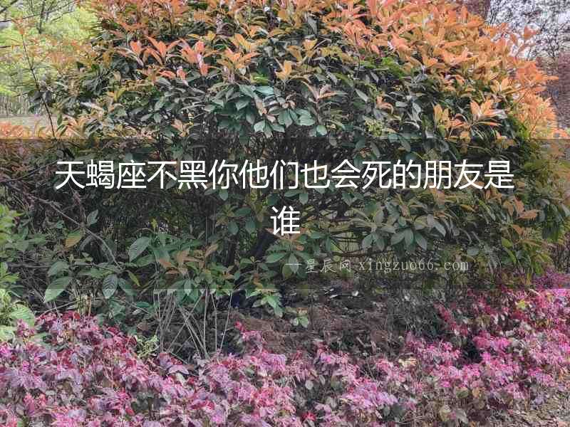 天蝎座不黑你他們也會死的朋友是誰