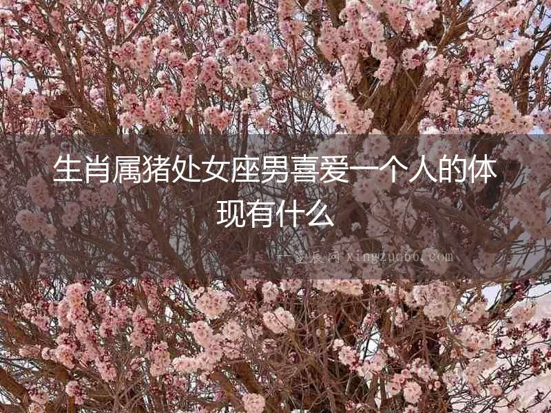 生肖屬豬處女座男喜愛一個(gè)人的體現(xiàn)有什么