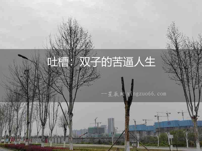 吐槽：雙子的苦逼人生