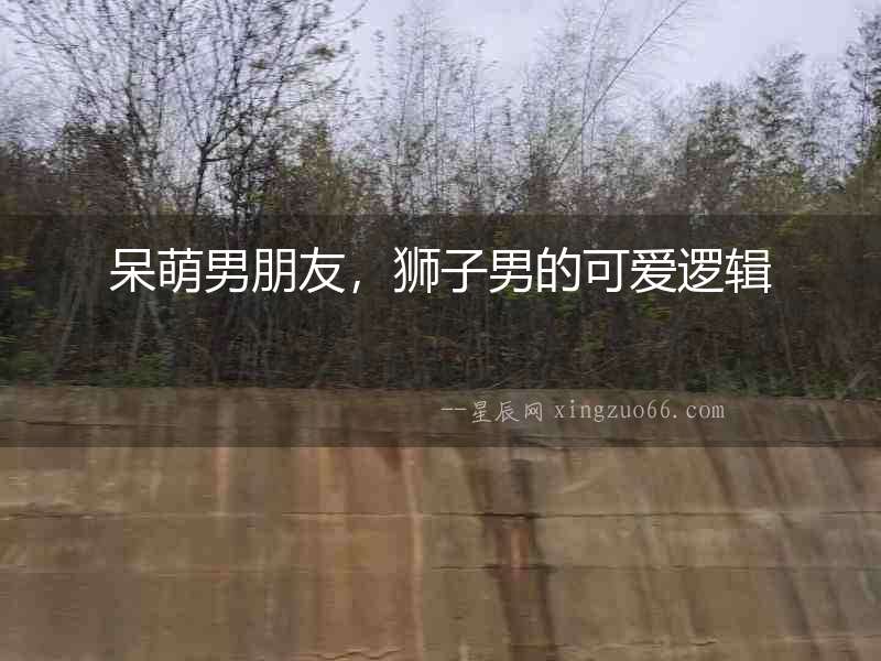 呆萌男朋友，獅子男的可愛邏輯
