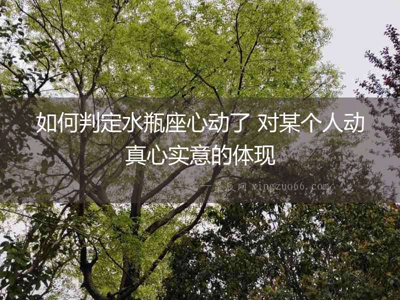 如何判定水瓶座心動了 對某個人動真心實意的體現