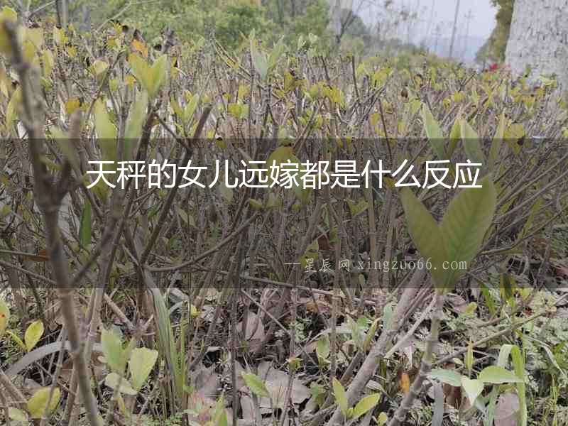 天秤的女兒遠嫁都是什么反應