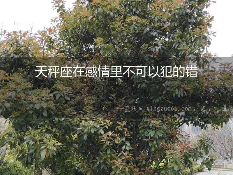 天秤座在感情里不可以犯的錯